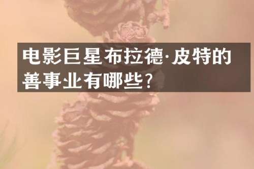 电影巨星布拉德·皮特的慈善事业有哪些？