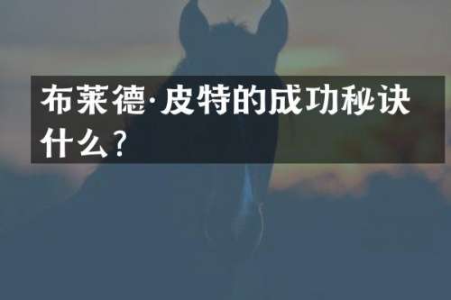 布莱德·皮特的成功秘诀是什么？