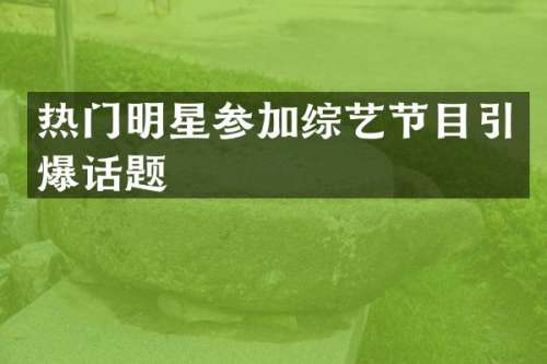 热门明星参加综艺节目话题
