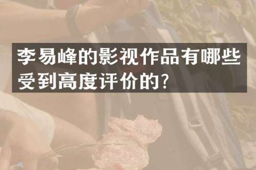 李易峰的影视作品有哪些受到高度评价的？
