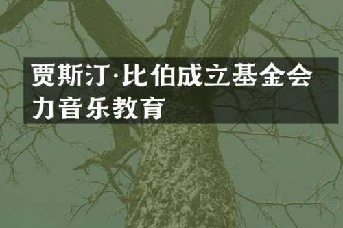 贾斯汀·比伯成立基金会助力音乐教育