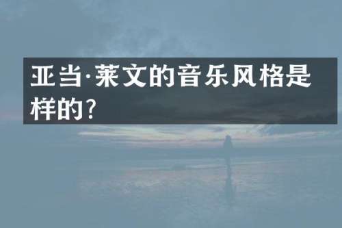 亚当·莱文的音乐风格是怎样的？