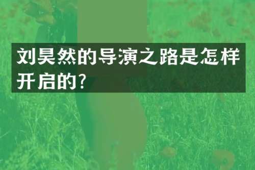 刘昊然的导演之路是怎样开启的？