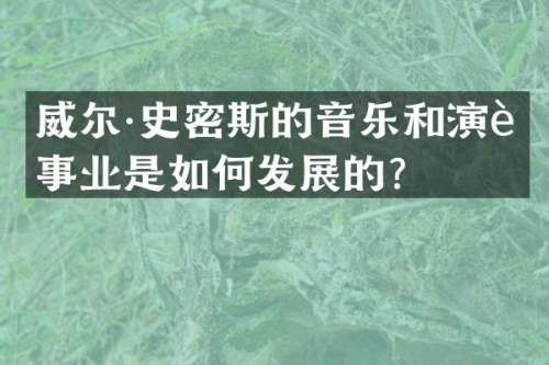 威尔·史密斯的音乐和演艺事业是如何发展的？