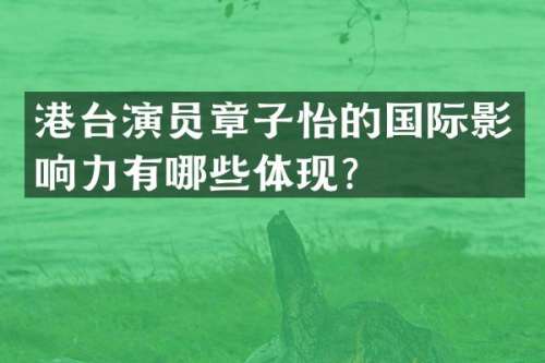 港台演员章子怡的国际影响力有哪些体现？