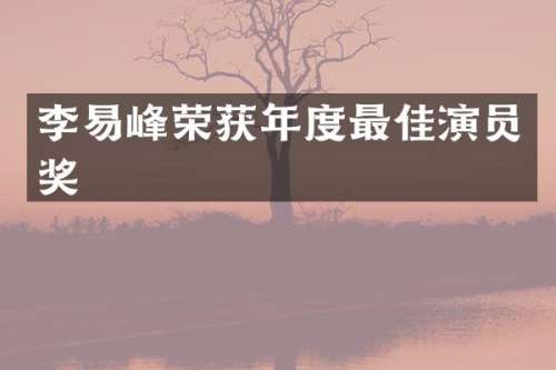 李易峰荣获年度最佳演员奖