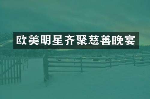欧美明星齐聚慈善晚宴