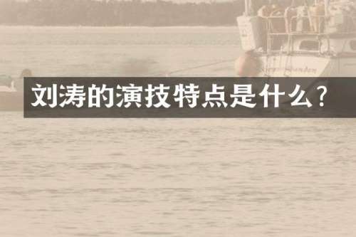 刘涛的演技特点是什么？