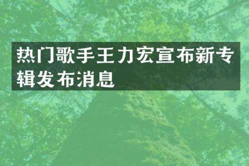 热门歌手王力宏宣布新专辑发布消息