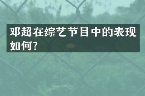 邓超在综艺节目中的表现如何？