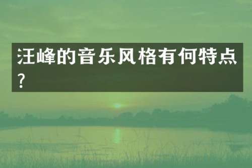 汪峰的音乐风格有何特点？