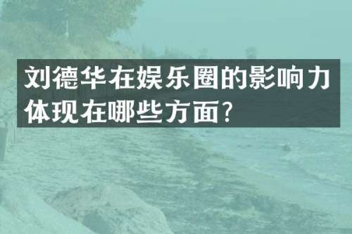 刘德华在娱乐圈的影响力体现在哪些方面？