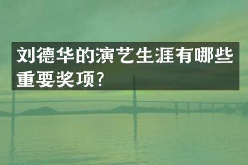 刘德华的演艺生涯有哪些重要奖项？