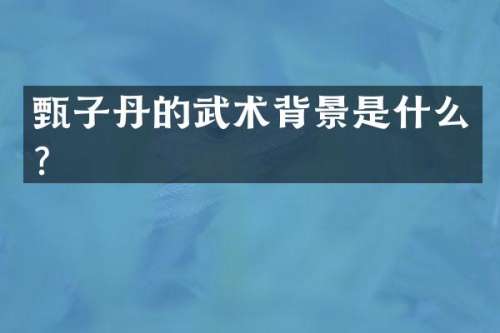 甄子丹的武术背景是什么？