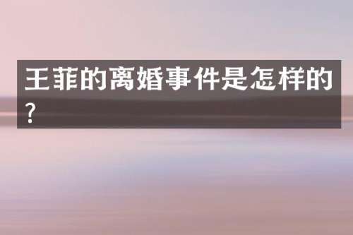王菲的离婚事件是怎样的？