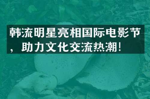 韩流明星亮相国际电影节，助力文化交流热潮！
