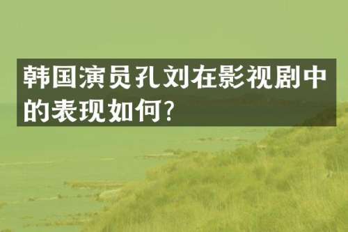 韩国演员孔刘在影视剧中的表现如何？