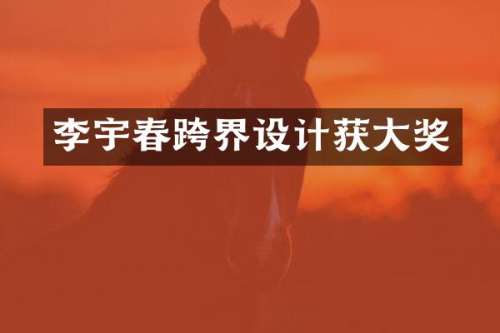 李宇春跨界设计获大奖