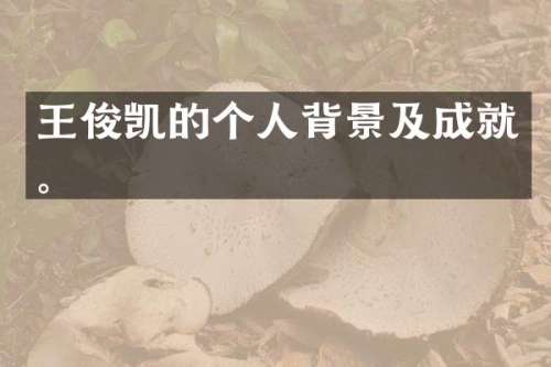 王俊凯的个人背景及成就。