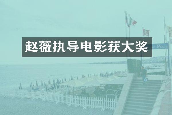 赵薇执导电影获大奖