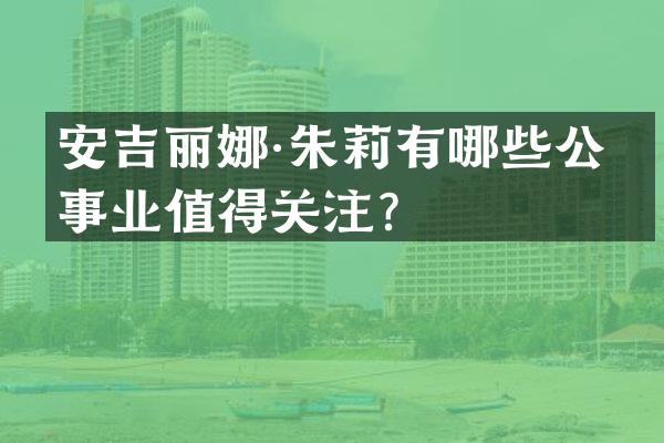 安吉丽娜·朱莉有哪些公益事业值得关注？