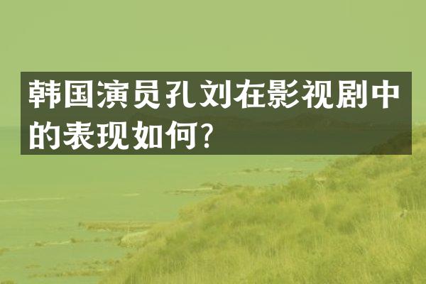 韩国演员孔刘在影视剧中的表现如何？