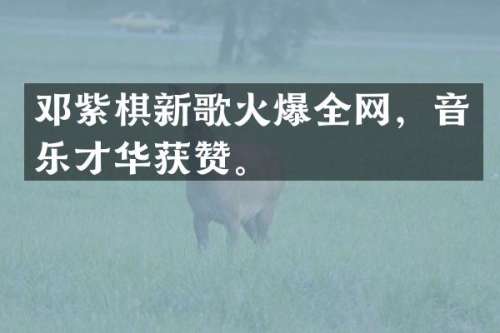 邓紫棋新歌火爆全网，音乐才华获赞。
