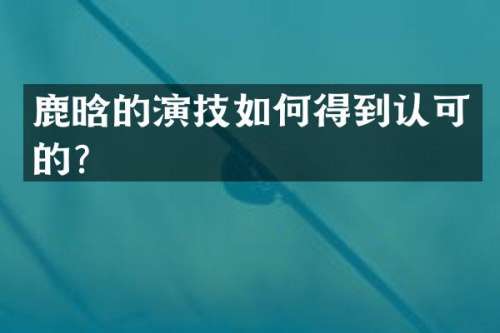 鹿晗的演技如何得到认可的？