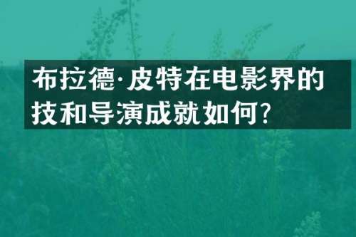 布拉德·皮特在电影界的演技和导演成就如何？