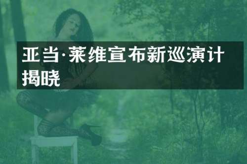 亚当·莱维宣布新巡演计划揭晓