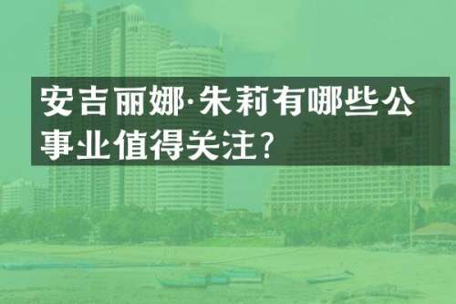 安吉丽娜·朱莉有哪些公益事业值得关注？