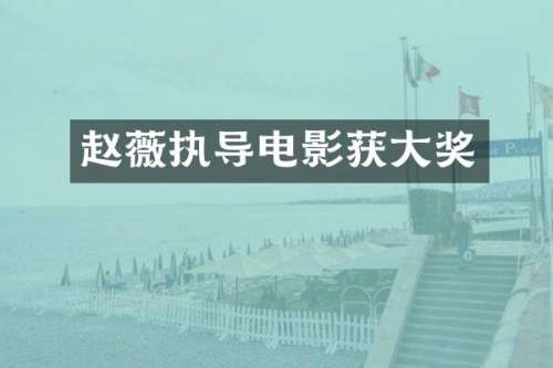 赵薇执导电影获大奖