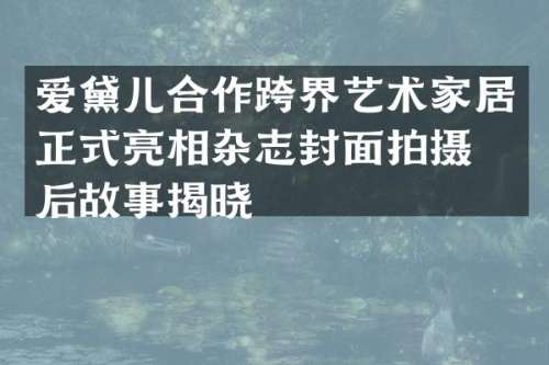 爱黛儿合作跨界艺术家居正式亮相杂志封面拍摄幕后故事揭晓