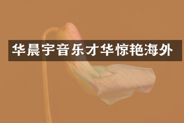 华晨宇音乐才华惊艳海外