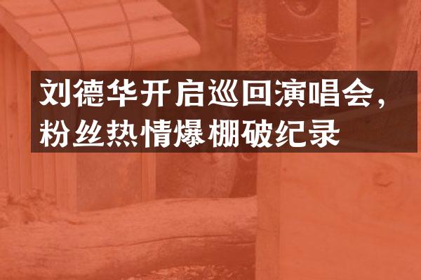 刘德华开启巡回演唱会，粉丝热情爆棚破纪录