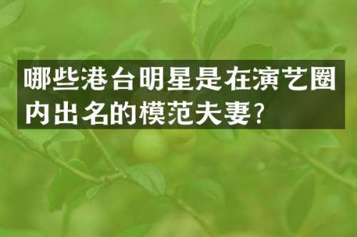 哪些港台明星是在演艺圈内出名的模范夫妻？