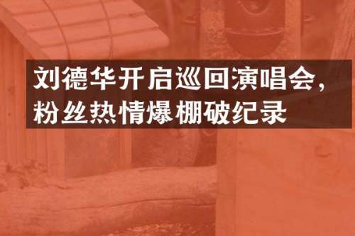 刘德华开启巡回演唱会，粉丝热情爆棚破纪录
