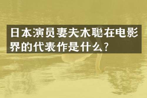 日本演员妻夫木聪在电影界的代表作是什么？