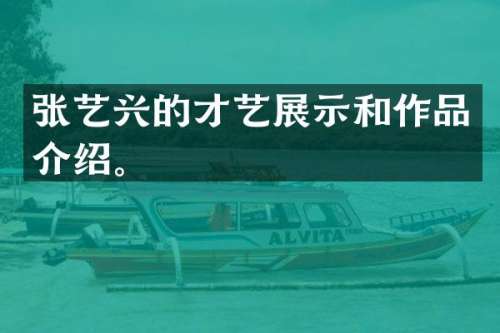 张艺兴的才艺展示和作品介绍。
