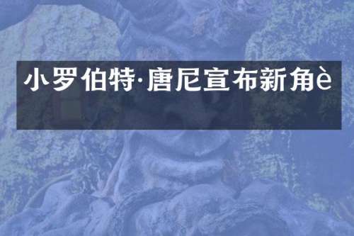 小罗伯特·唐尼宣布新角色