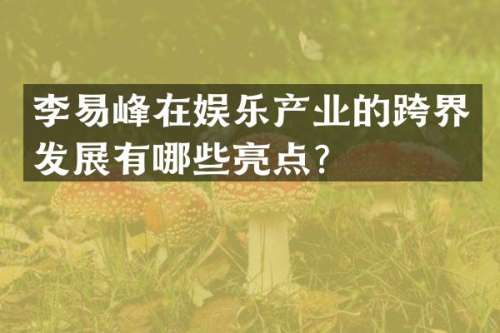 李易峰在娱乐产业的跨界发展有哪些亮点？