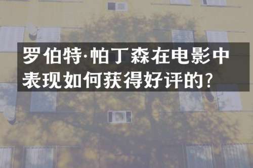 罗伯特·帕丁森在电影中的表现如何获得好评的？