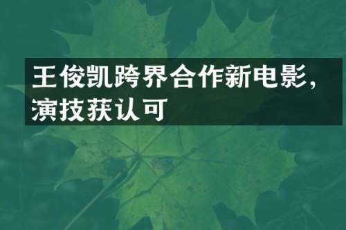 王俊凯跨界合作新电影，演技获认可