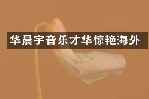 华晨宇音乐才华惊艳海外