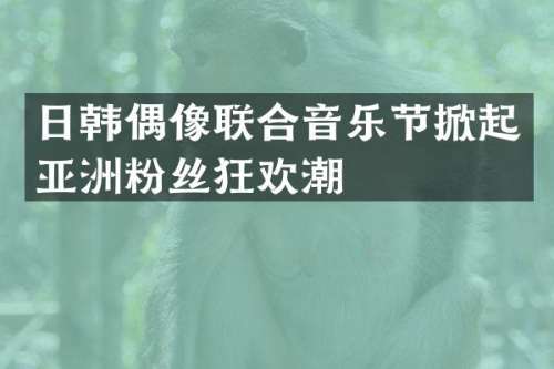 日韩偶像联合音乐节掀起亚洲粉丝狂欢潮