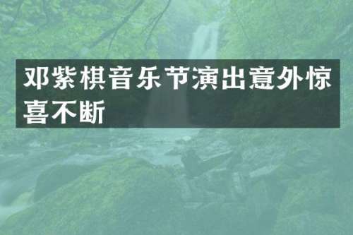 邓紫棋音乐节演出意外惊喜不断