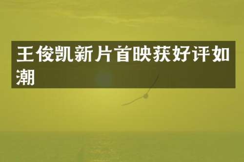 王俊凯新片首映获好评如潮