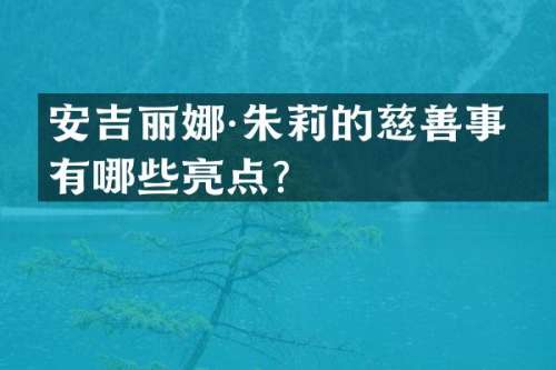 安吉丽娜·朱莉的慈善事业有哪些亮点？