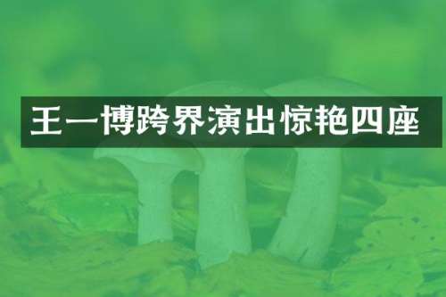 王一博跨界演出惊艳四座