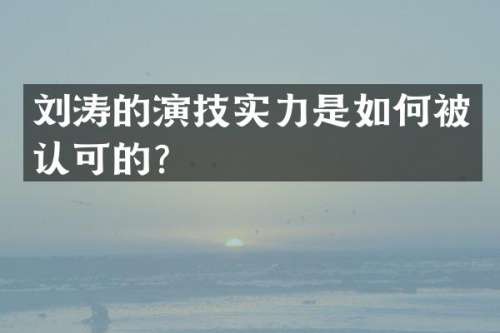 刘涛的演技实力是如何被认可的？